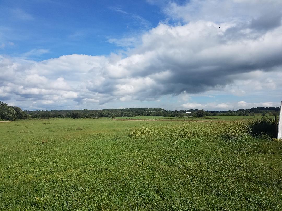 8388 Old Spencer Road Pikeville, TN 37367 - Photo 2 of 32 2