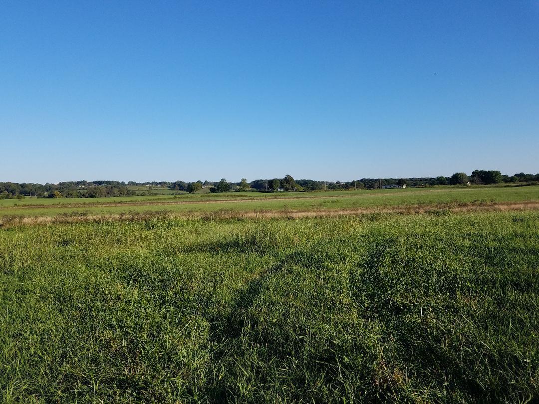 8388 Old Spencer Road Pikeville, TN 37367 - Photo 22 of 32 thumbnail (12)