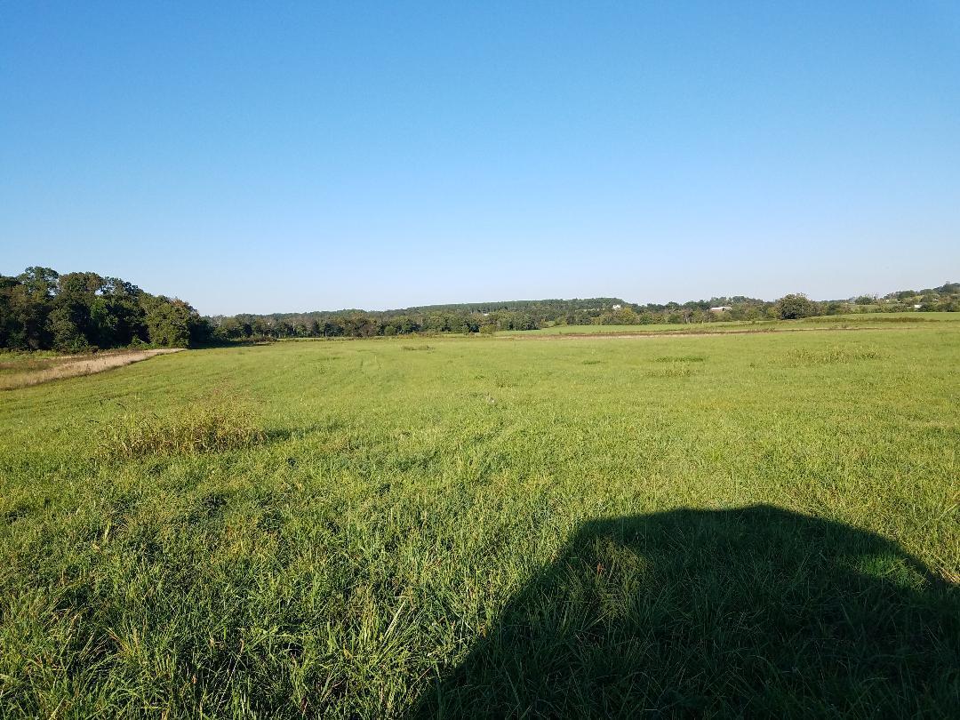 8388 Old Spencer Road Pikeville, TN 37367 - Photo 23 of 32 thumbnail (15)