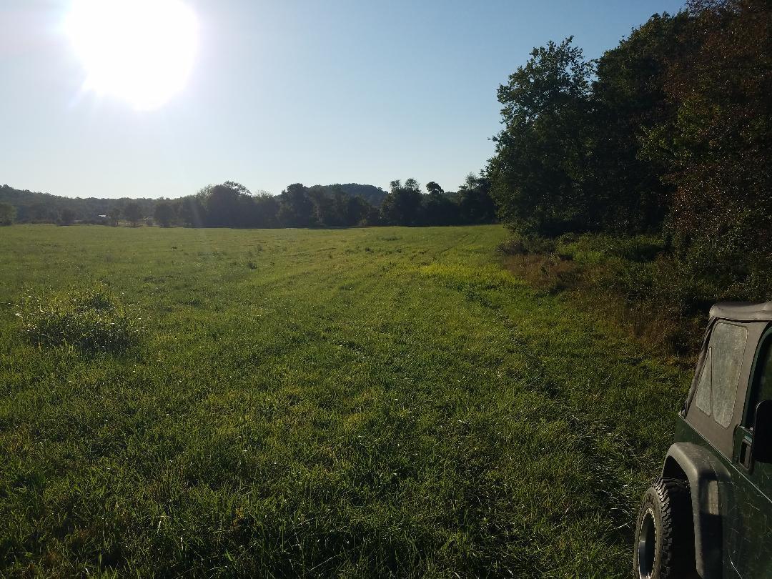 8388 Old Spencer Road Pikeville, TN 37367 - Photo 24 of 32 thumbnail (17)