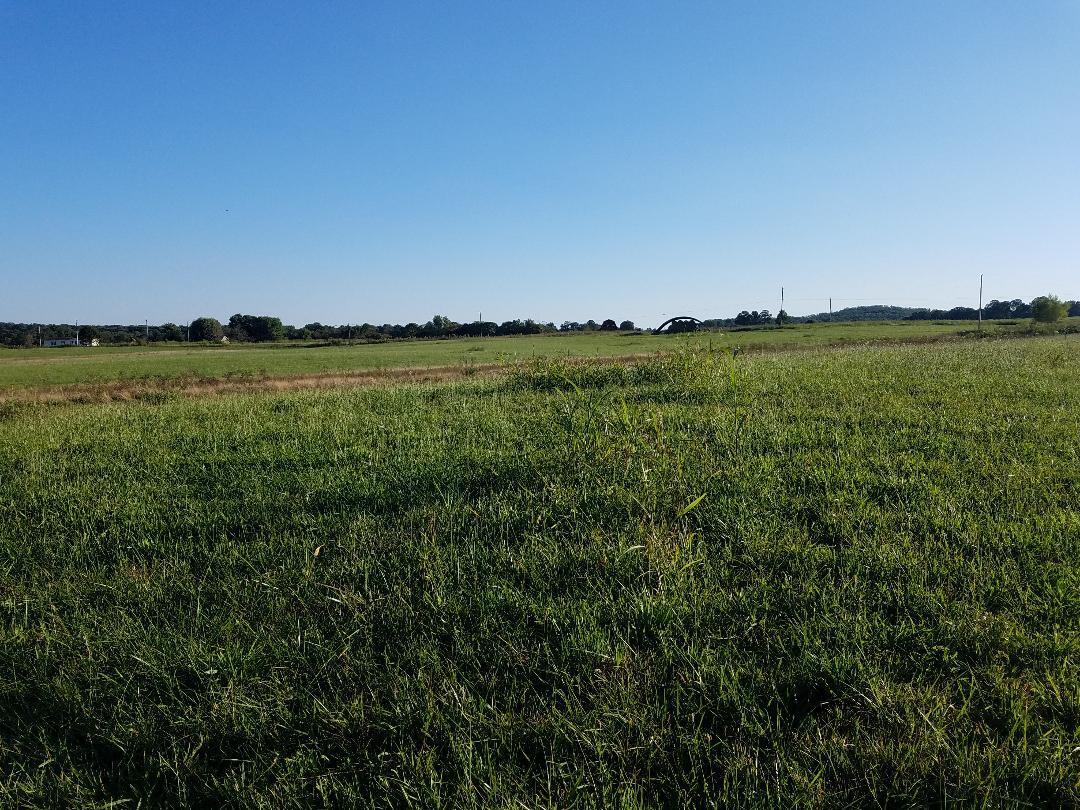 8388 Old Spencer Road Pikeville, TN 37367 - Photo 25 of 32 thumbnail (18)