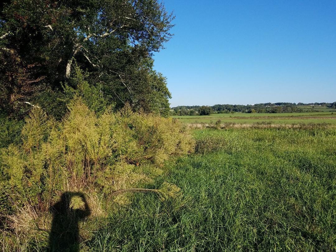 8388 Old Spencer Road Pikeville, TN 37367 - Photo 26 of 32 thumbnail (19)