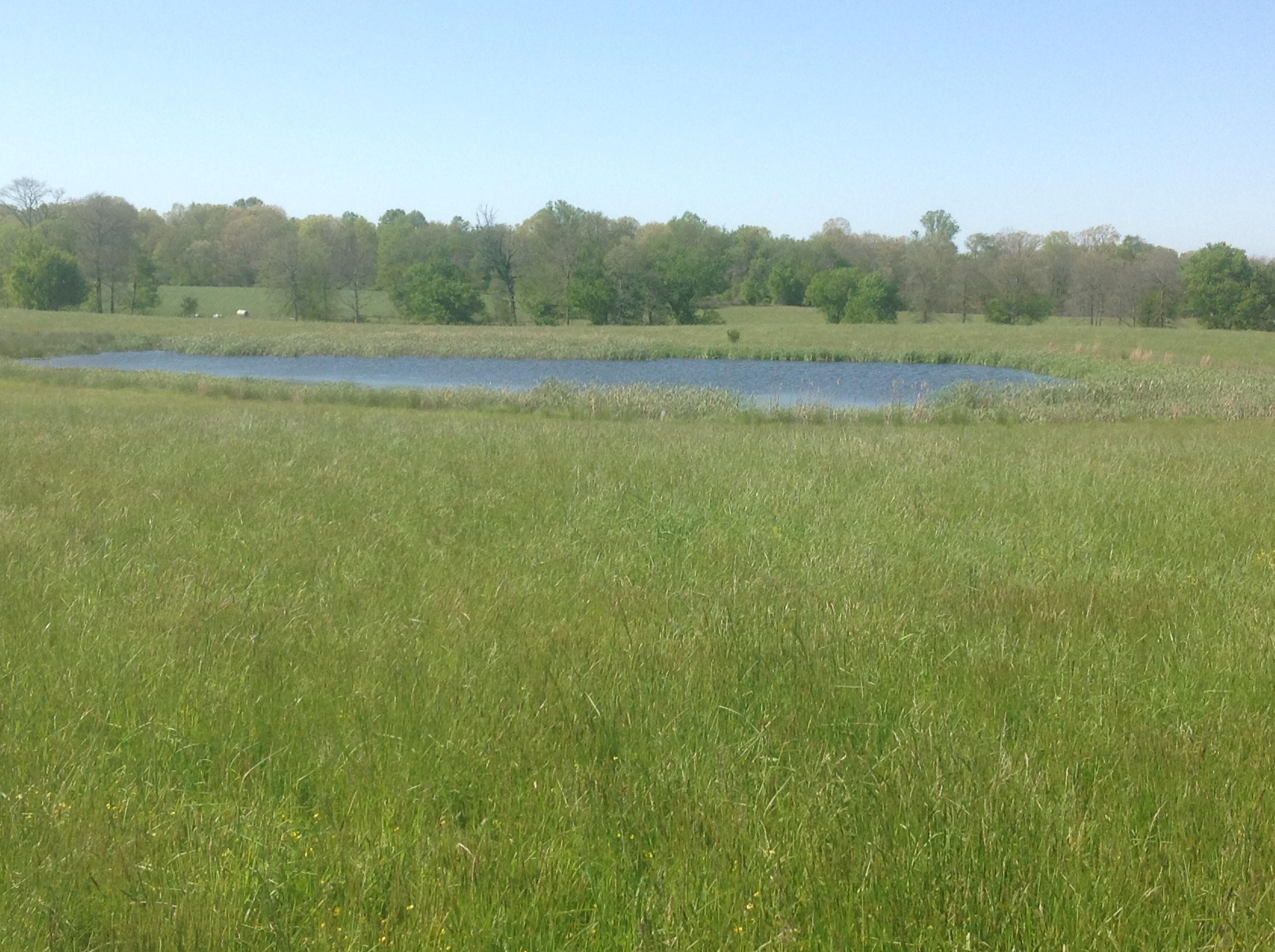 8388 Old Spencer Road Pikeville, TN 37367 - Photo 27 of 32 20200507202528970843000000-o