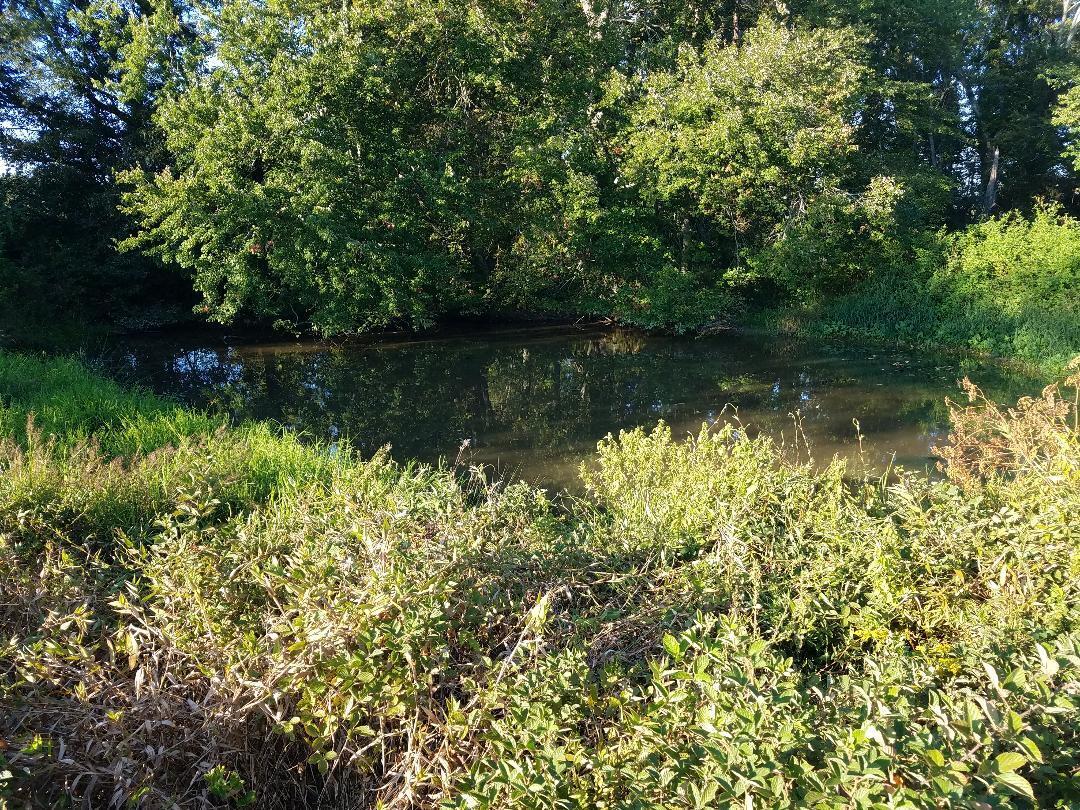 8388 Old Spencer Road Pikeville, TN 37367 - Photo 28 of 32 thumbnail (20)