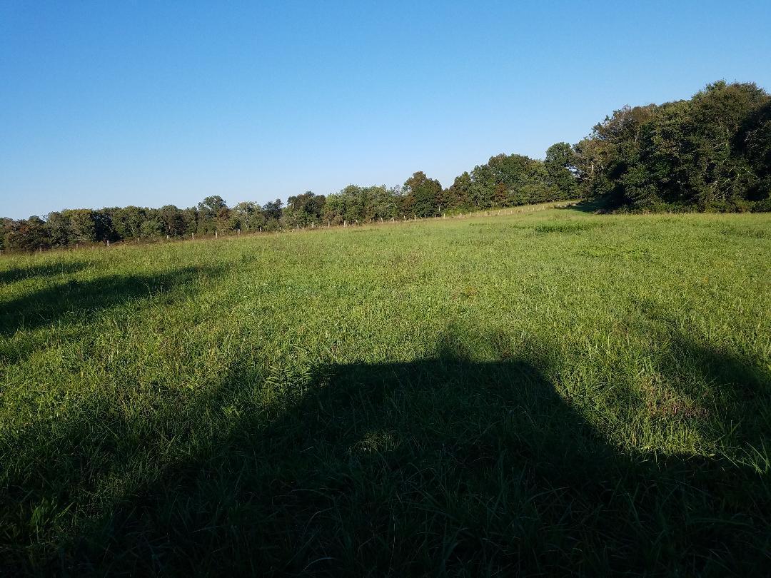 8388 Old Spencer Road Pikeville, TN 37367 - Photo 29 of 32 thumbnail (21)