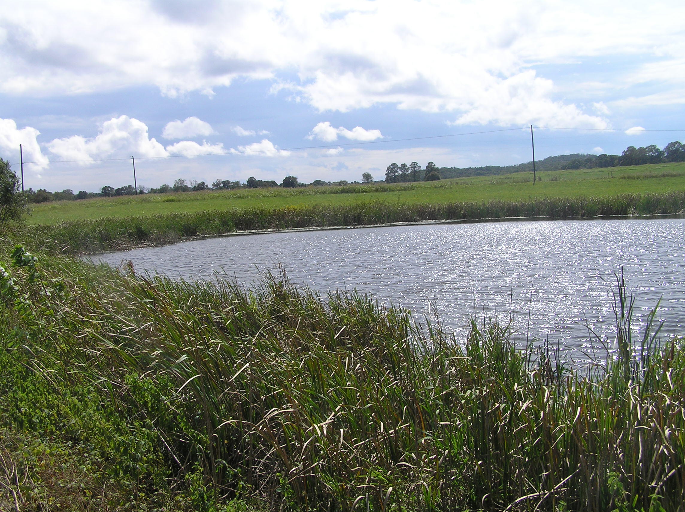 8388 Old Spencer Road Pikeville, TN 37367 - Photo 30 of 32 farm 040