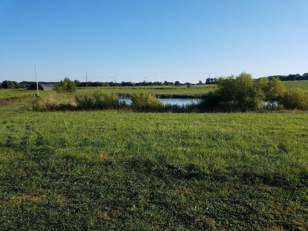 8388 Old Spencer Road Pikeville, TN 37367 - Photo 3 of 32 thumbnail (24)