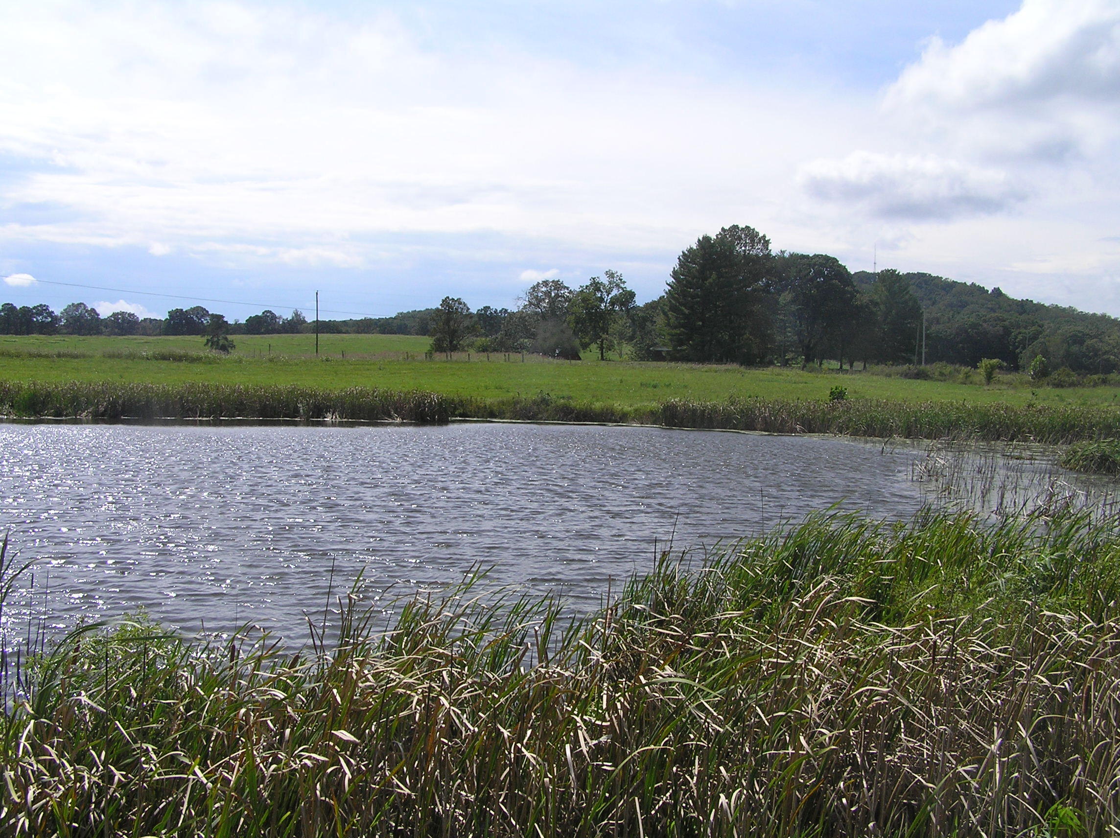 8388 Old Spencer Road Pikeville, TN 37367 - Photo 31 of 32 farm 039