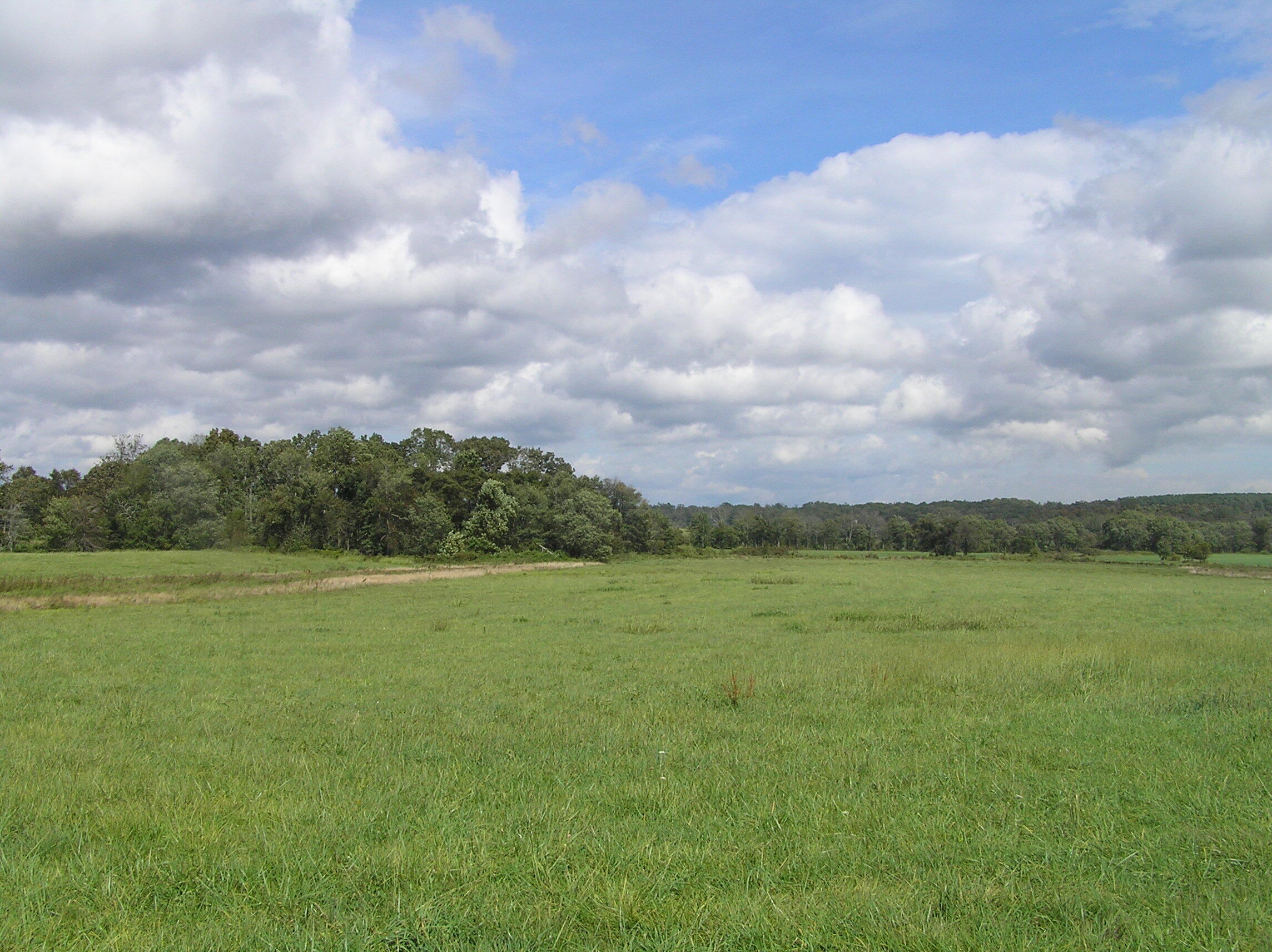 8388 Old Spencer Road Pikeville, TN 37367 - Photo 32 of 32 farm 035