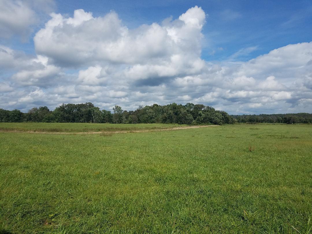 8388 Old Spencer Road Pikeville, TN 37367 - Photo 4 of 32 1