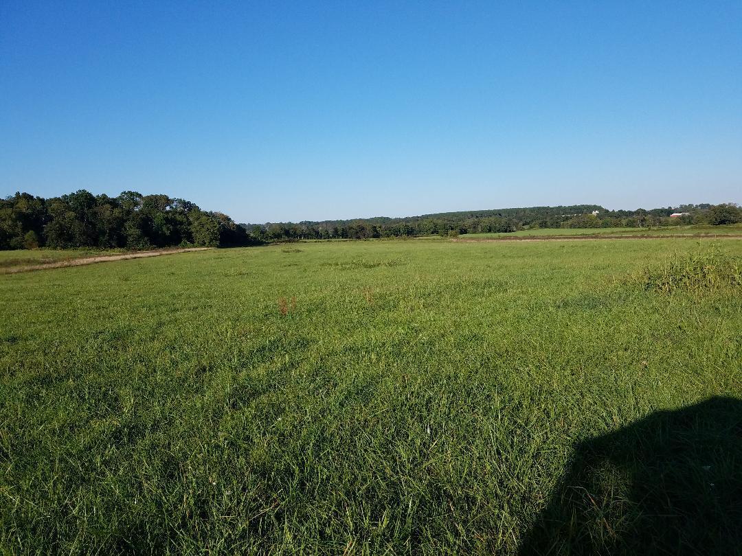 8388 Old Spencer Road Pikeville, TN 37367 - Photo 5 of 32 thumbnail (6)