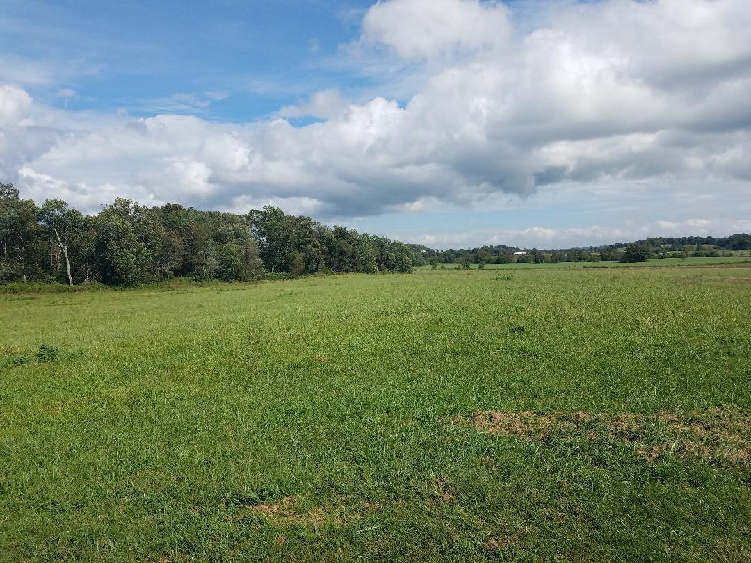 8388 Old Spencer Road Pikeville, TN 37367 - Photo 6 of 32 3