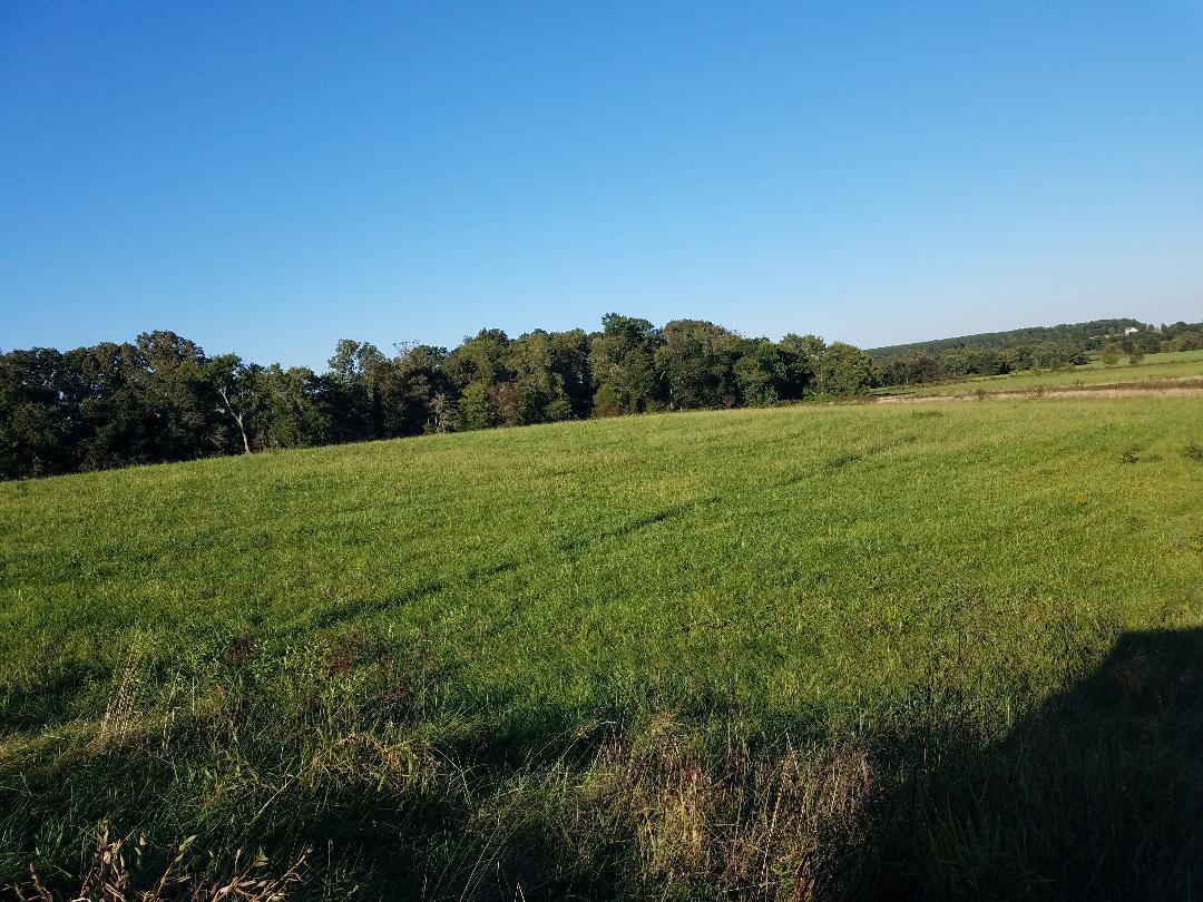 8388 Old Spencer Road Pikeville, TN 37367 - Photo 7 of 32 thumbnail (14)