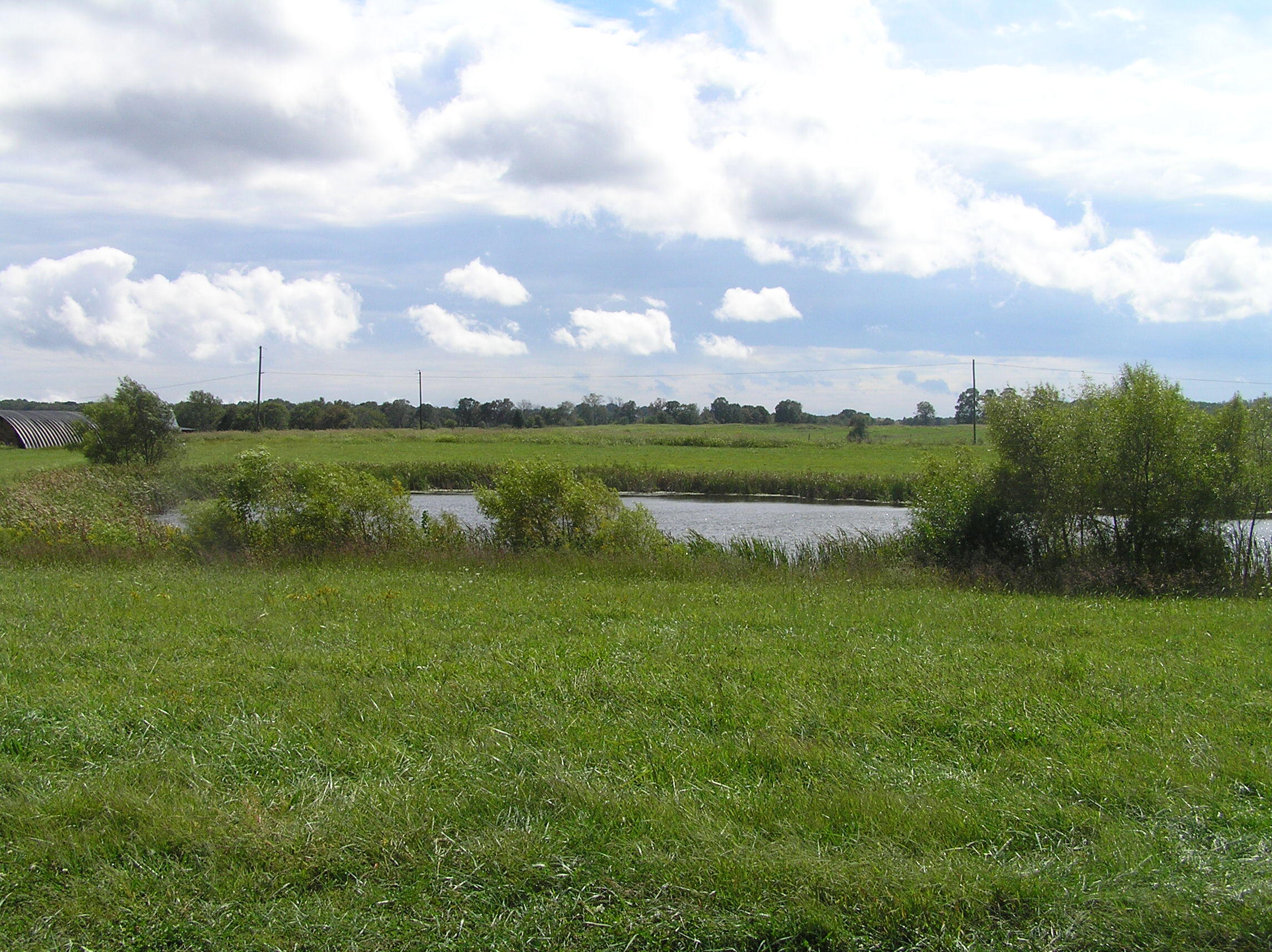 8388 Old Spencer Road Pikeville, TN 37367 - Photo 9 of 32 farm 050