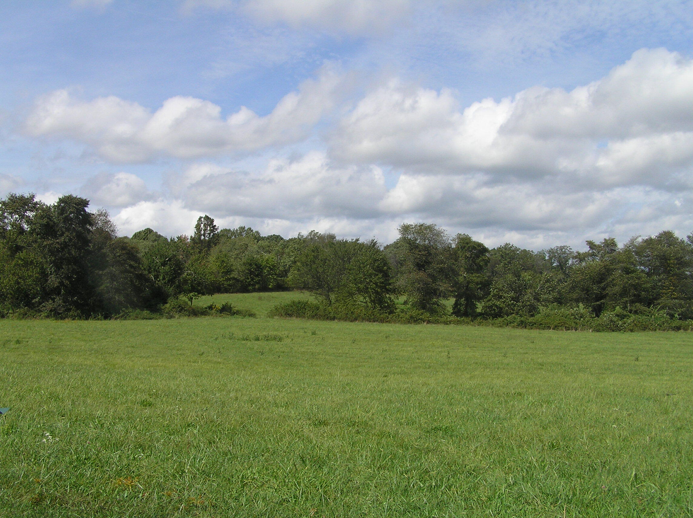 8388 Old Spencer Road Pikeville, TN 37367 - Photo 10 of 32 farm 043