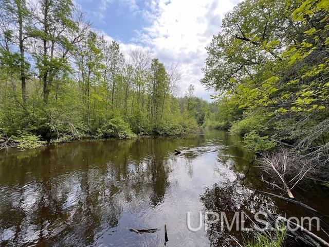 20.99-acres Old J Road Athelstane, WI 54104 - Photo 8 of 10