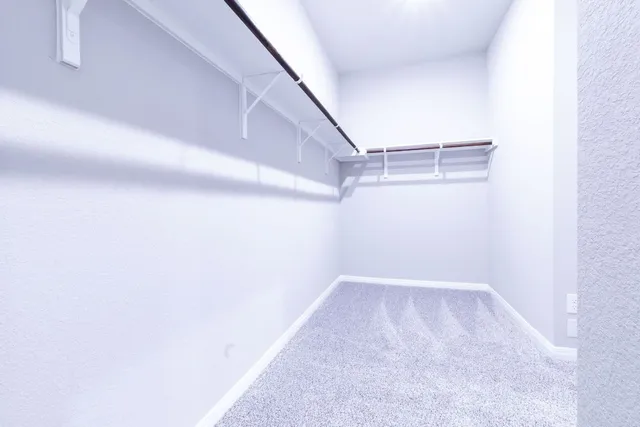 $2,890 | 2838 Dell Hollow Drive, Round Rock, TX 78665