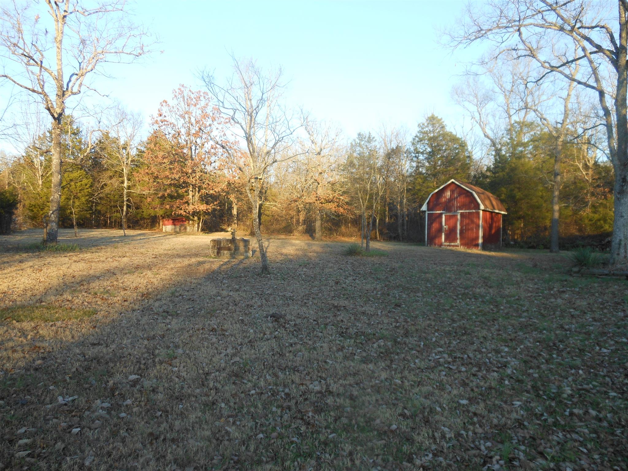 1490 Fall Creek Road Lebanon, TN 37090 - Photo 5 of 27 a view of empty area with large trees