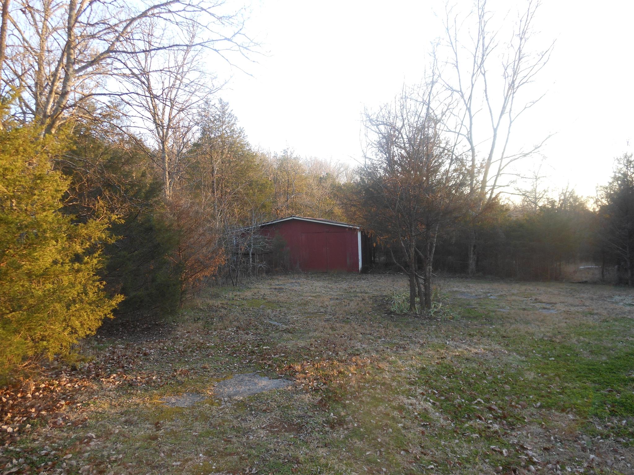 1490 Fall Creek Road Lebanon, TN 37090 - Photo 8 of 27 a view of a yard with a tree