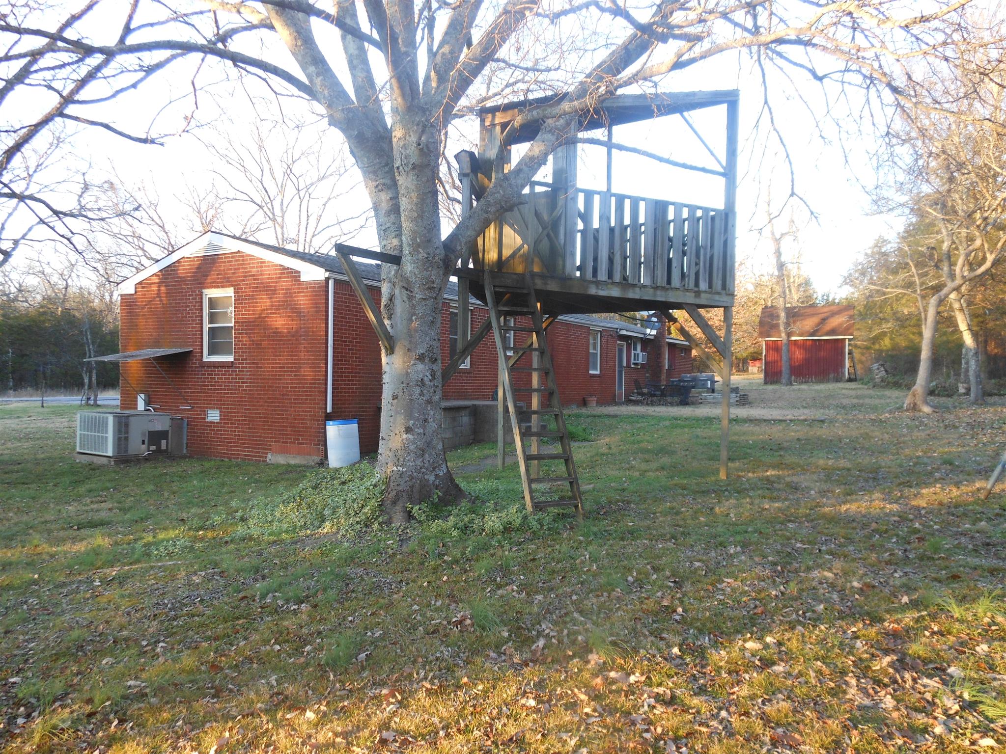 1490 Fall Creek Road Lebanon, TN 37090 - Photo 9 of 27 a backyard of a house with lots of green space
