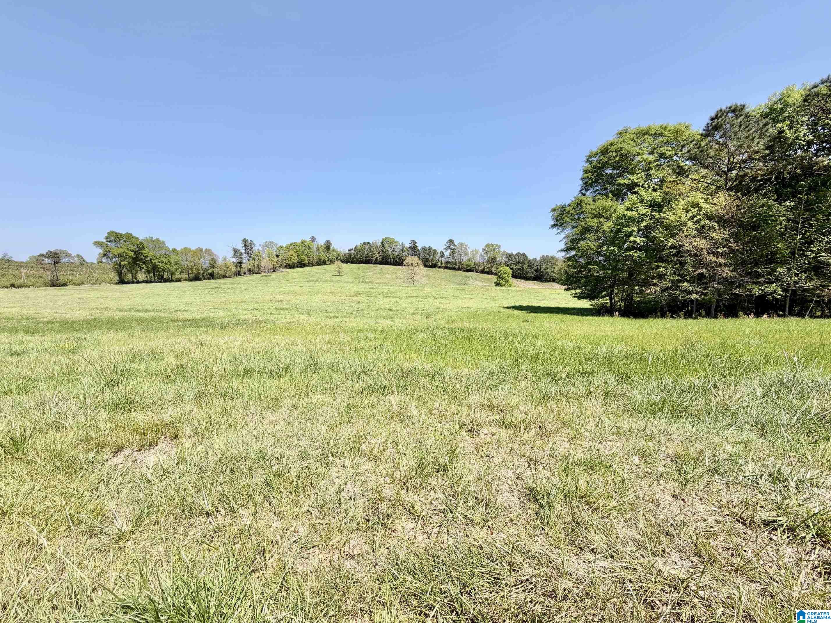 1097 Gnatville Road Piedmont, AL 36272 - Photo 76 of 79