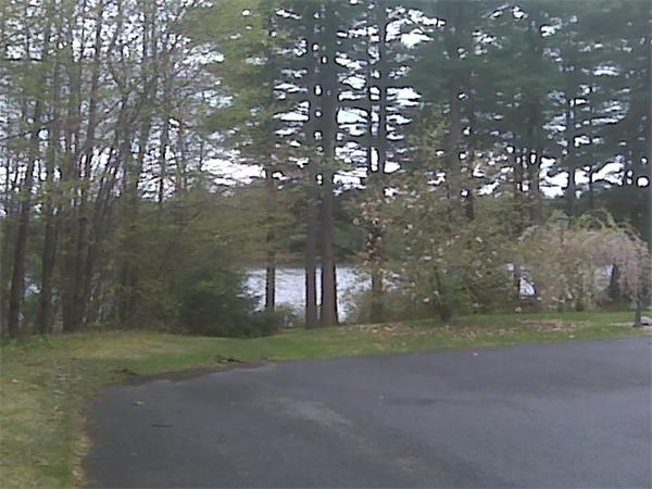 285 Petersham Road Athol, MA 01331 - Photo 12 of 21 a big yard with large trees