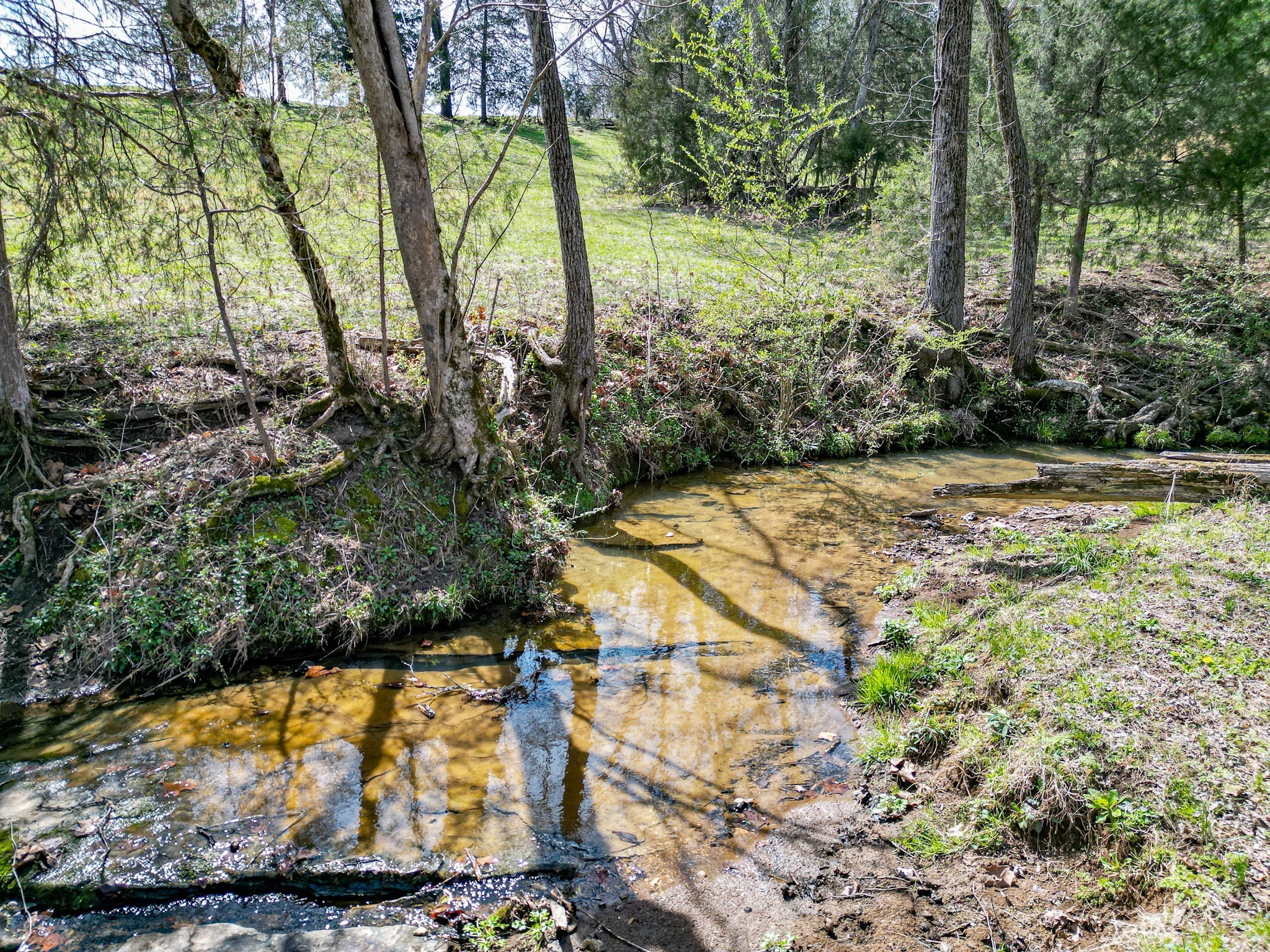 165 Meece Road Hampshire, TN 38461 - Photo 22 of 44