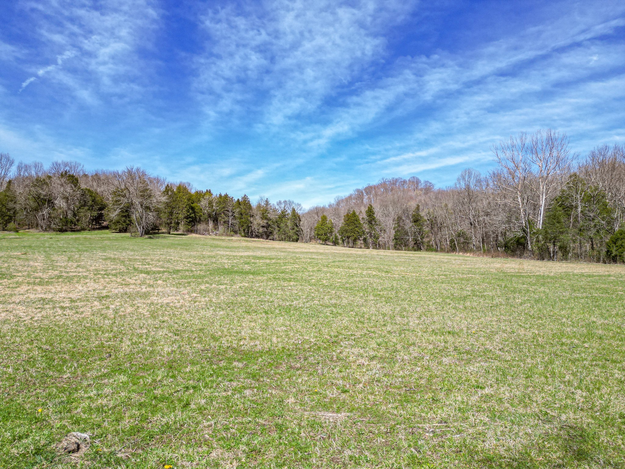 165 Meece Road Hampshire, TN 38461 - Photo 23 of 44