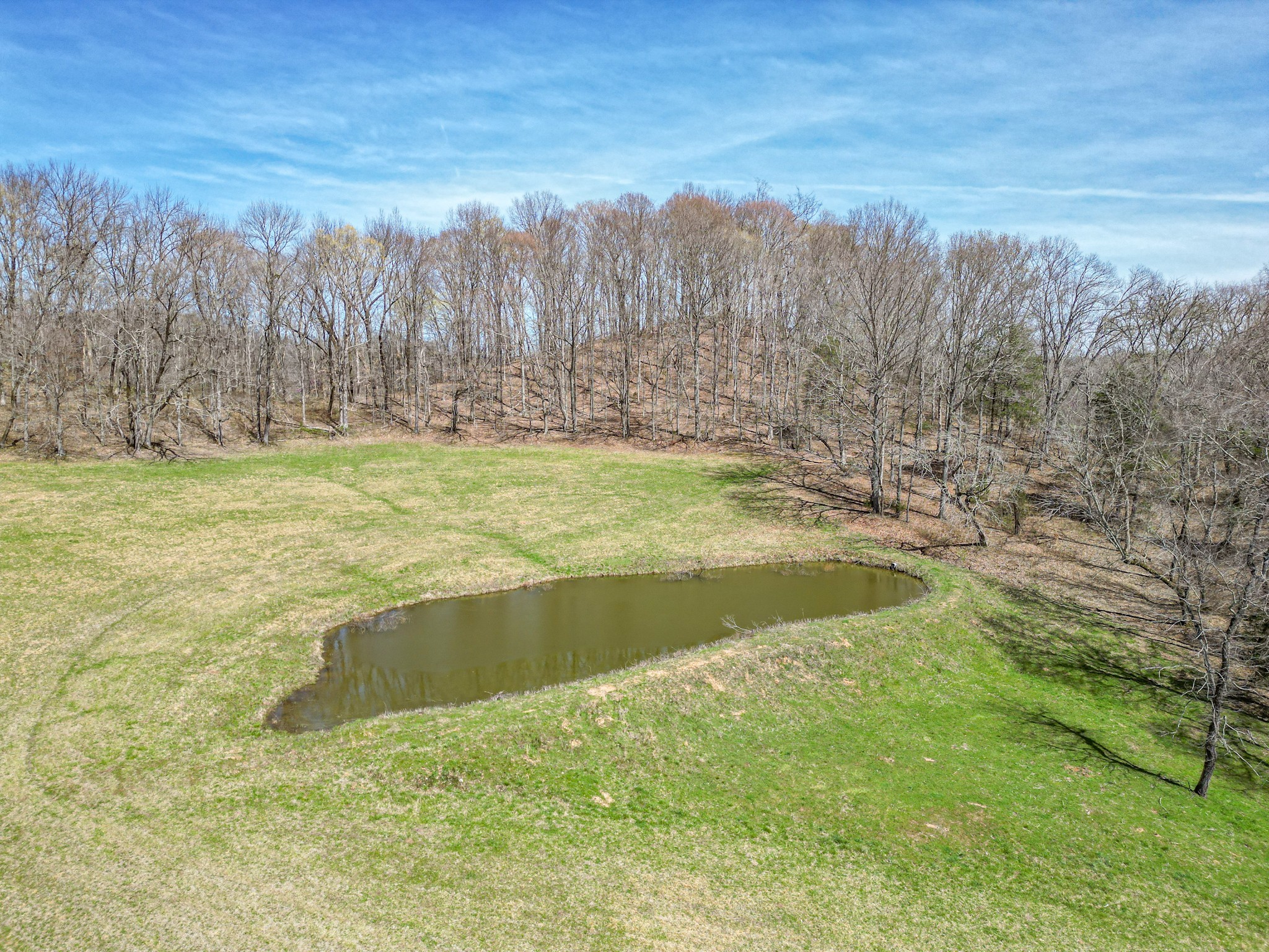 165 Meece Road Hampshire, TN 38461 - Photo 25 of 44