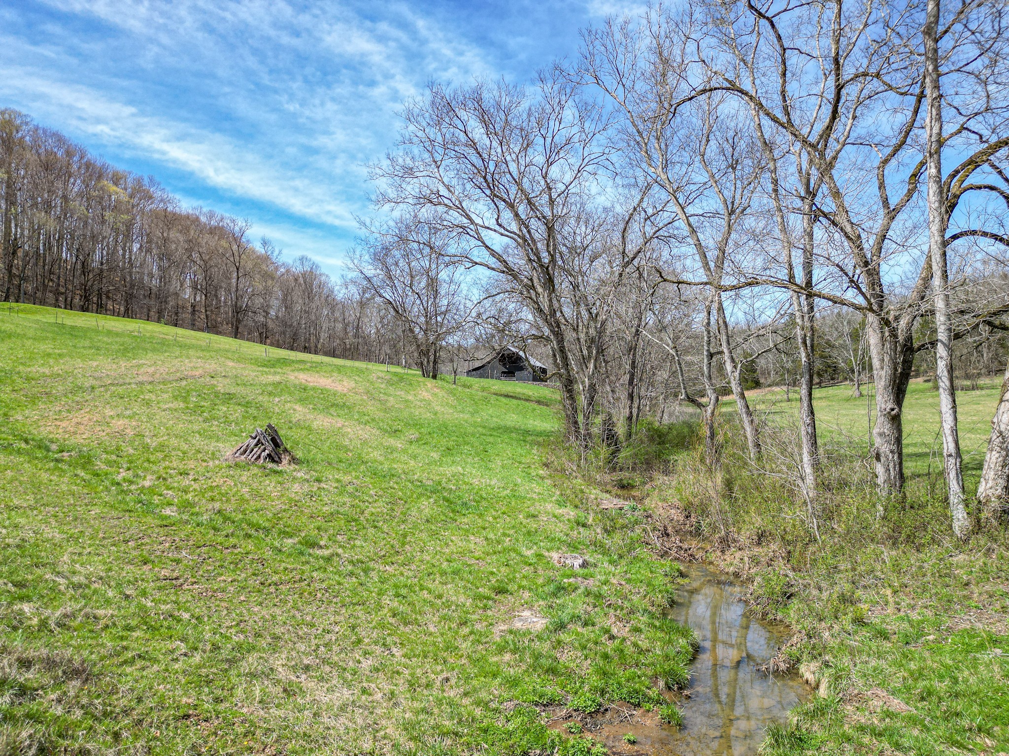 165 Meece Road Hampshire, TN 38461 - Photo 28 of 44