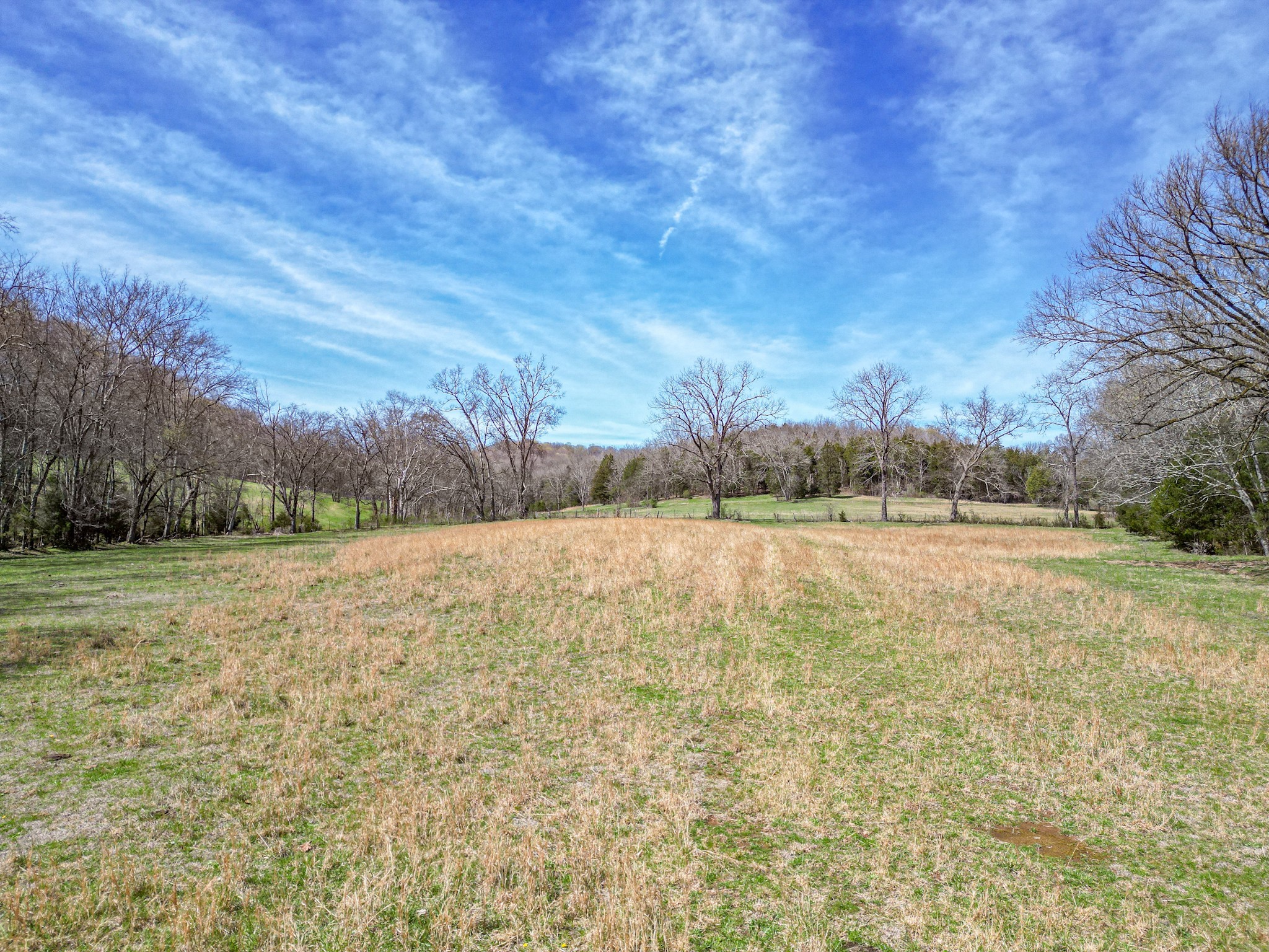 165 Meece Road Hampshire, TN 38461 - Photo 33 of 44