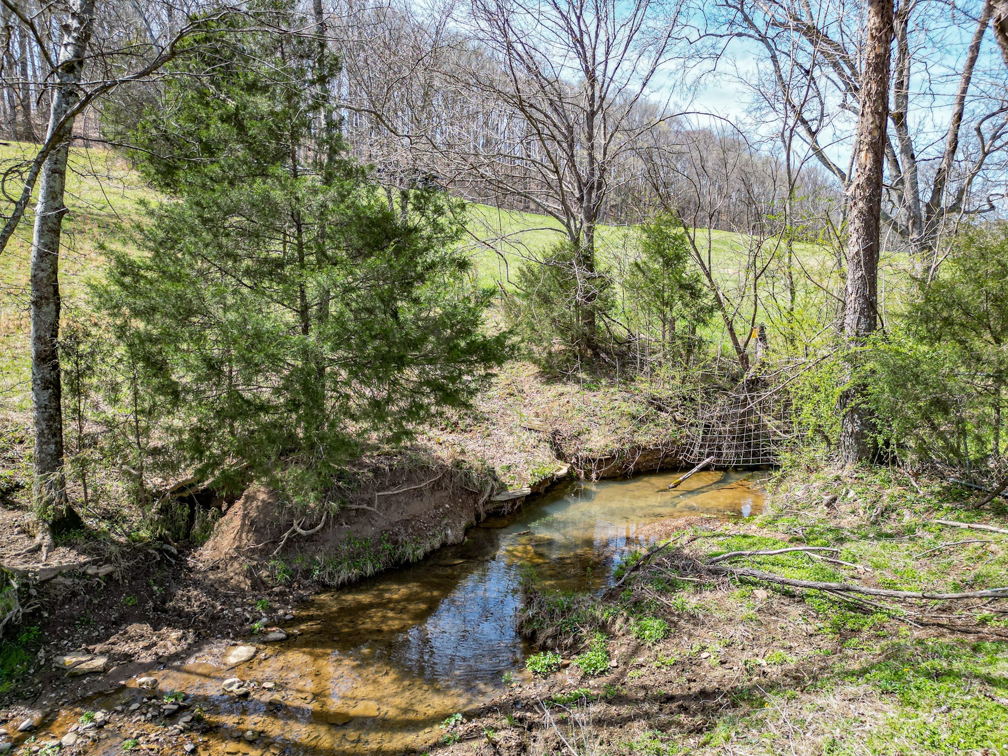 165 Meece Road Hampshire, TN 38461 - Photo 37 of 44