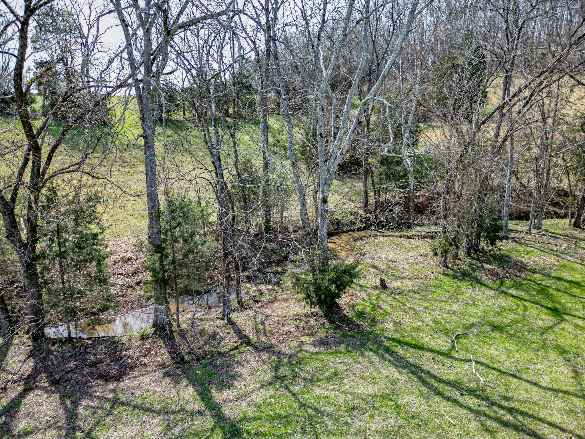 165 Meece Road Hampshire, TN 38461 - Photo 40 of 44