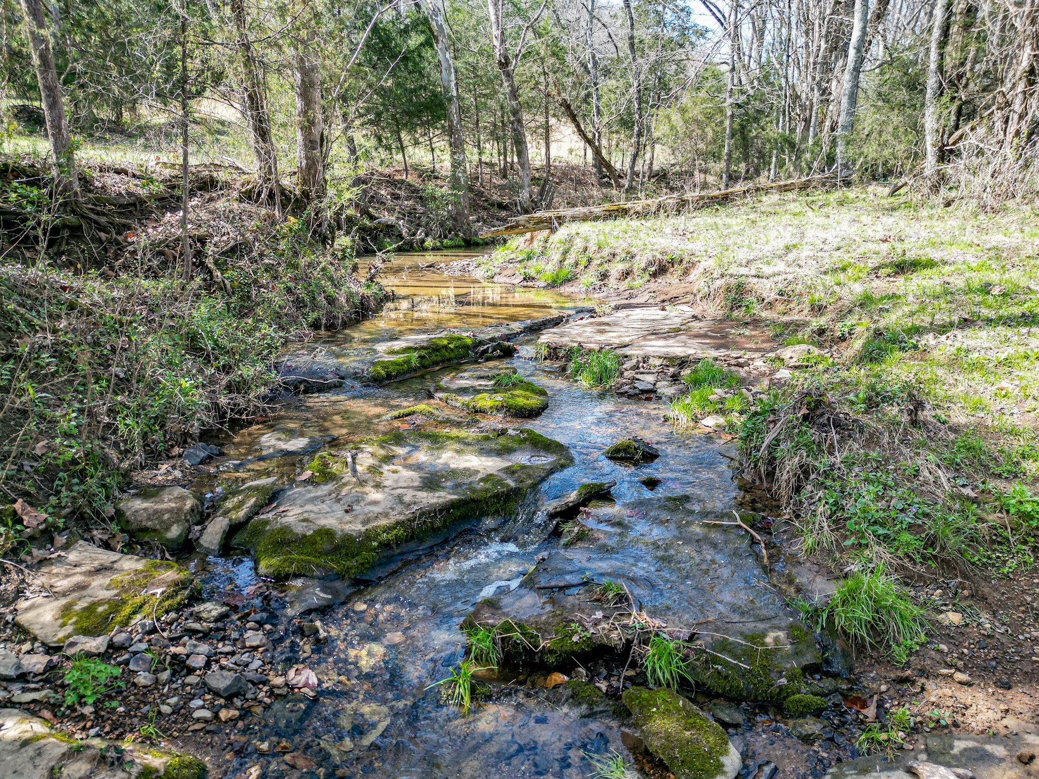 165 Meece Road Hampshire, TN 38461 - Photo 4 of 44