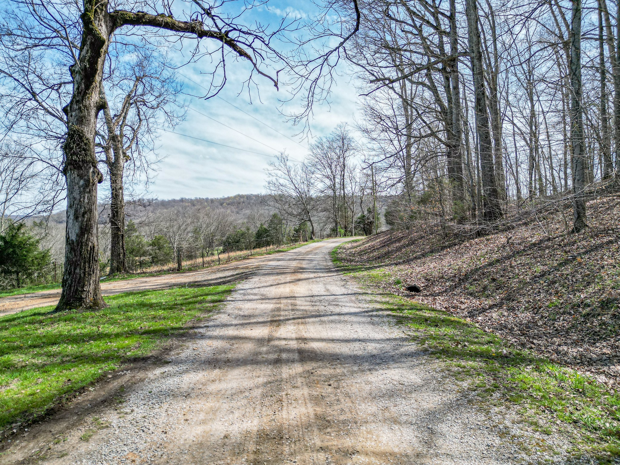 165 Meece Road Hampshire, TN 38461 - Photo 42 of 44