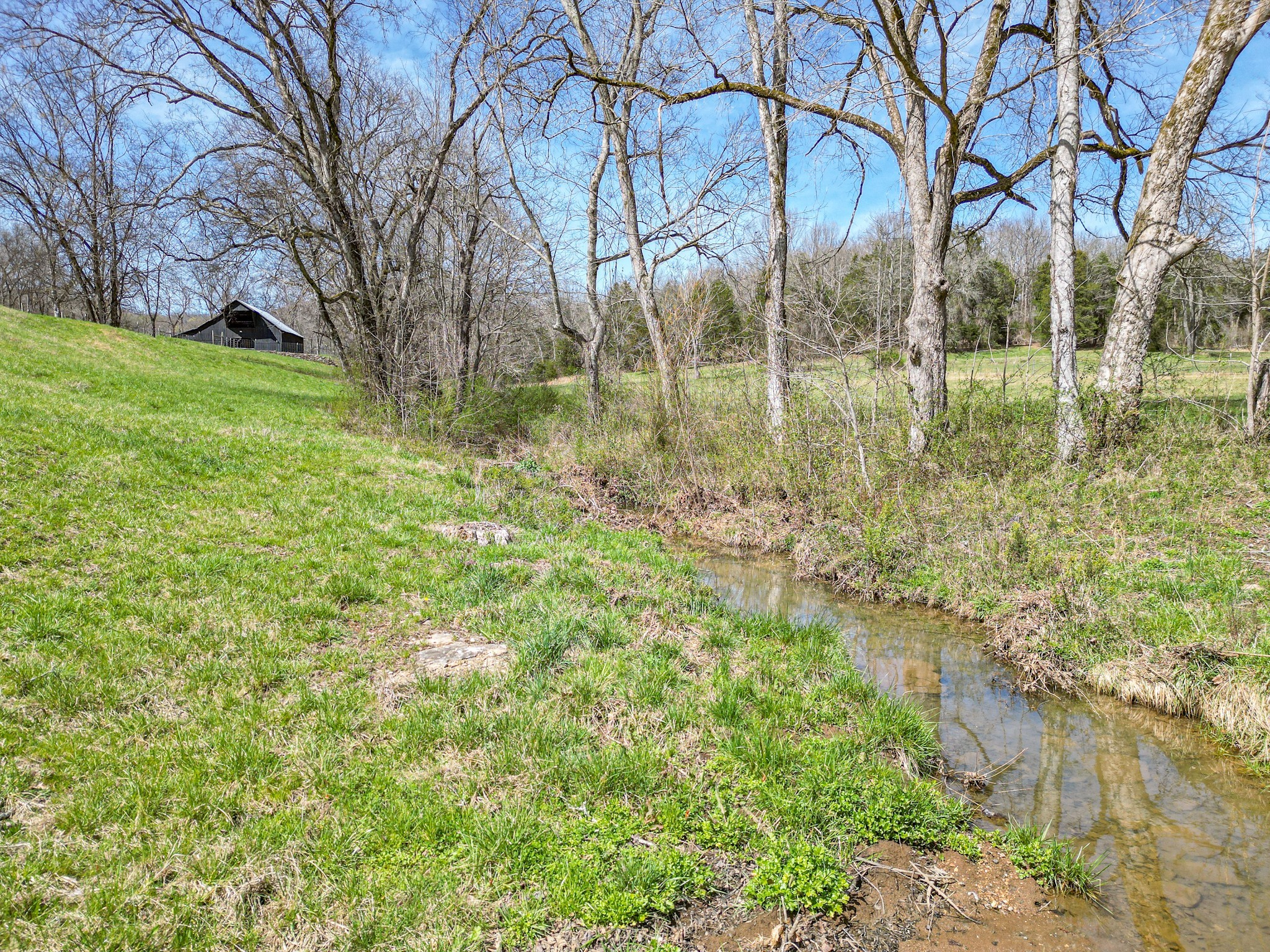 165 Meece Road Hampshire, TN 38461 - Photo 5 of 44