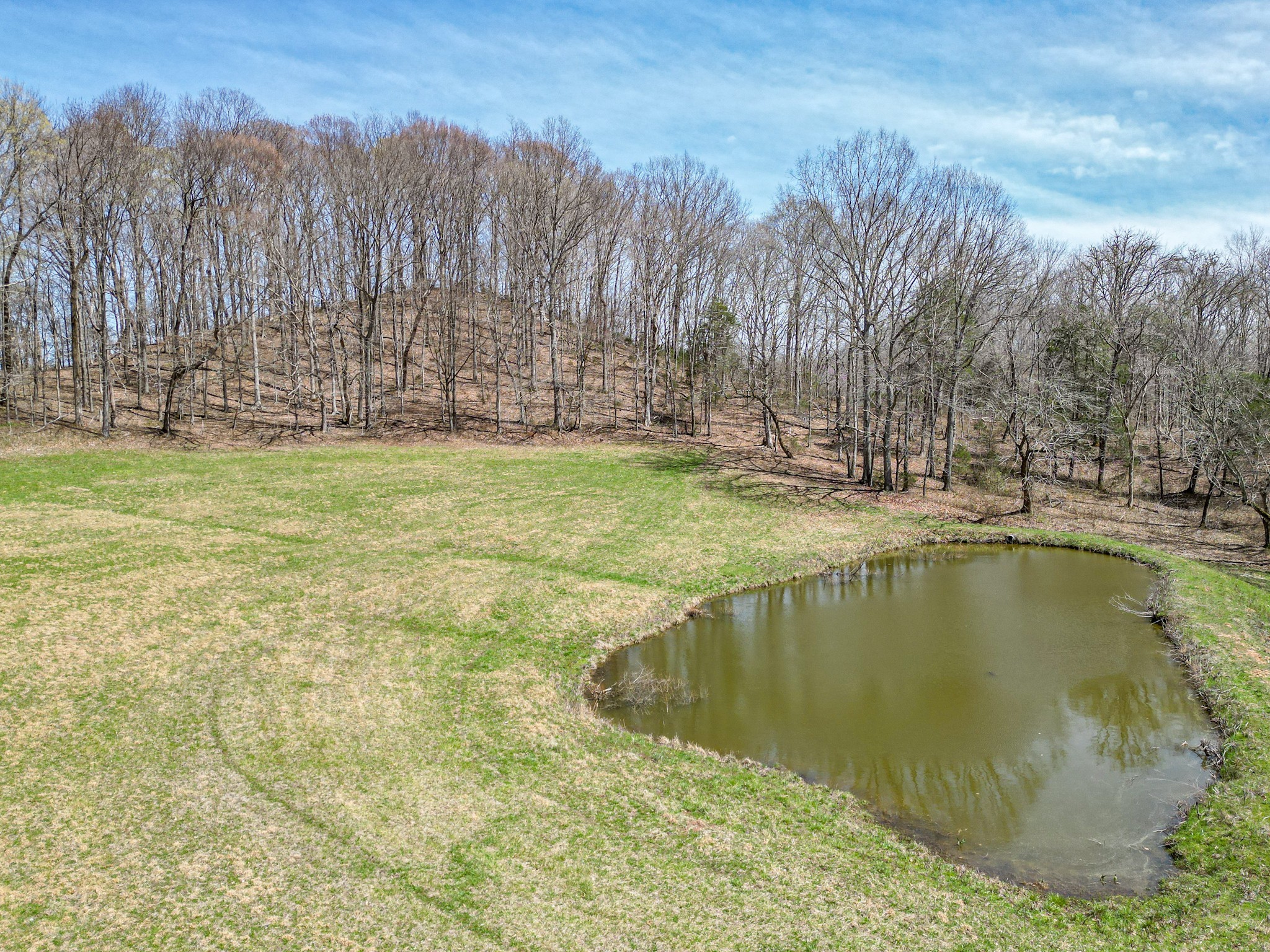 165 Meece Road Hampshire, TN 38461 - Photo 6 of 44