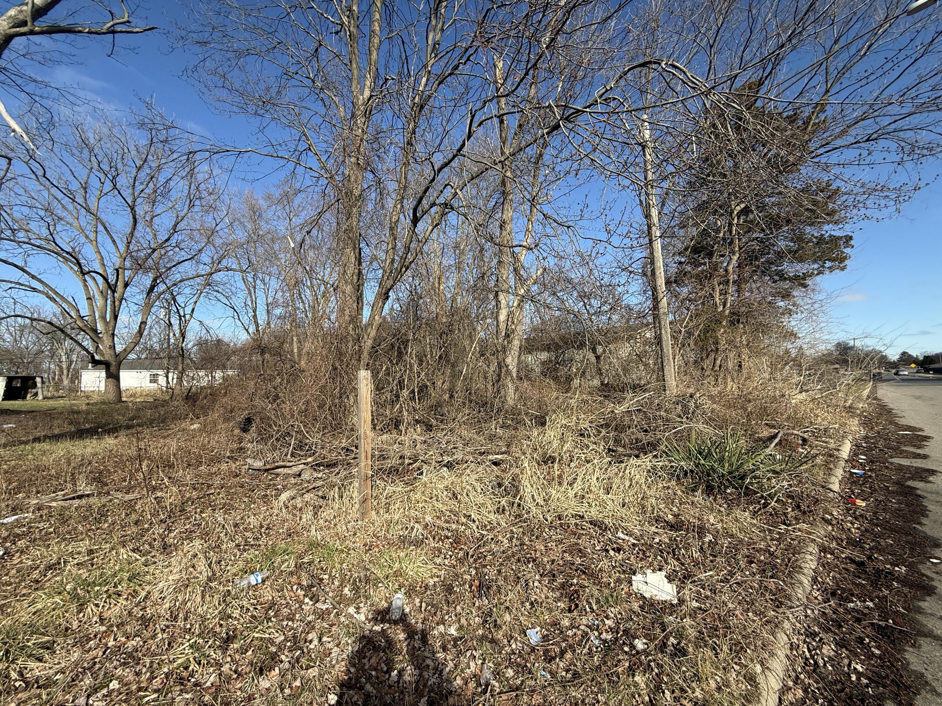 Tromley Street Inkster, MI 48141 - Photo 2 of 4 Side shot