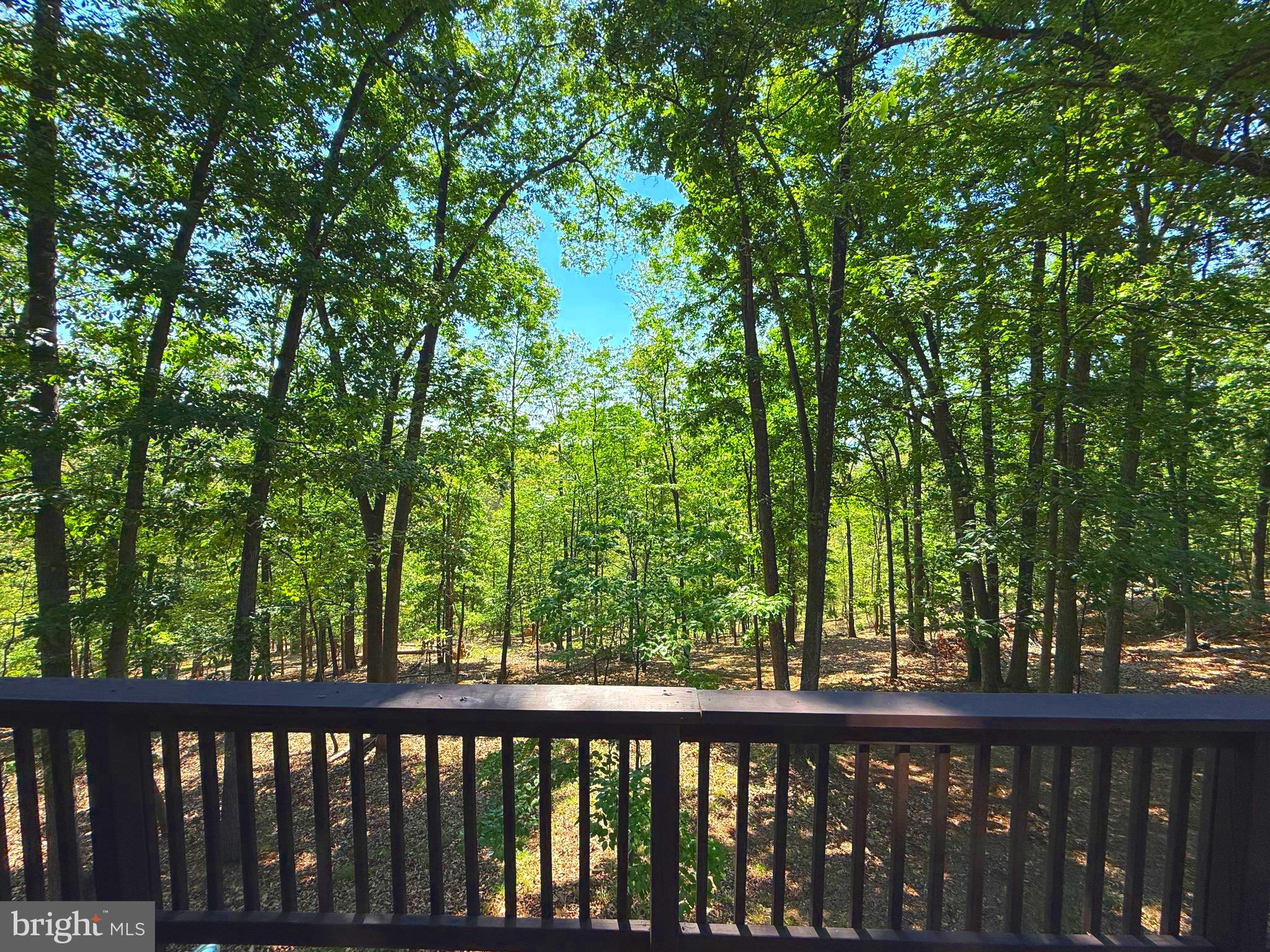 277 Endless Summer Road Hedgesville, WV 25427 - Photo 11 of 43