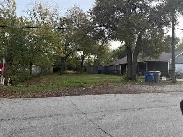 a view of a yard with plants and large trees