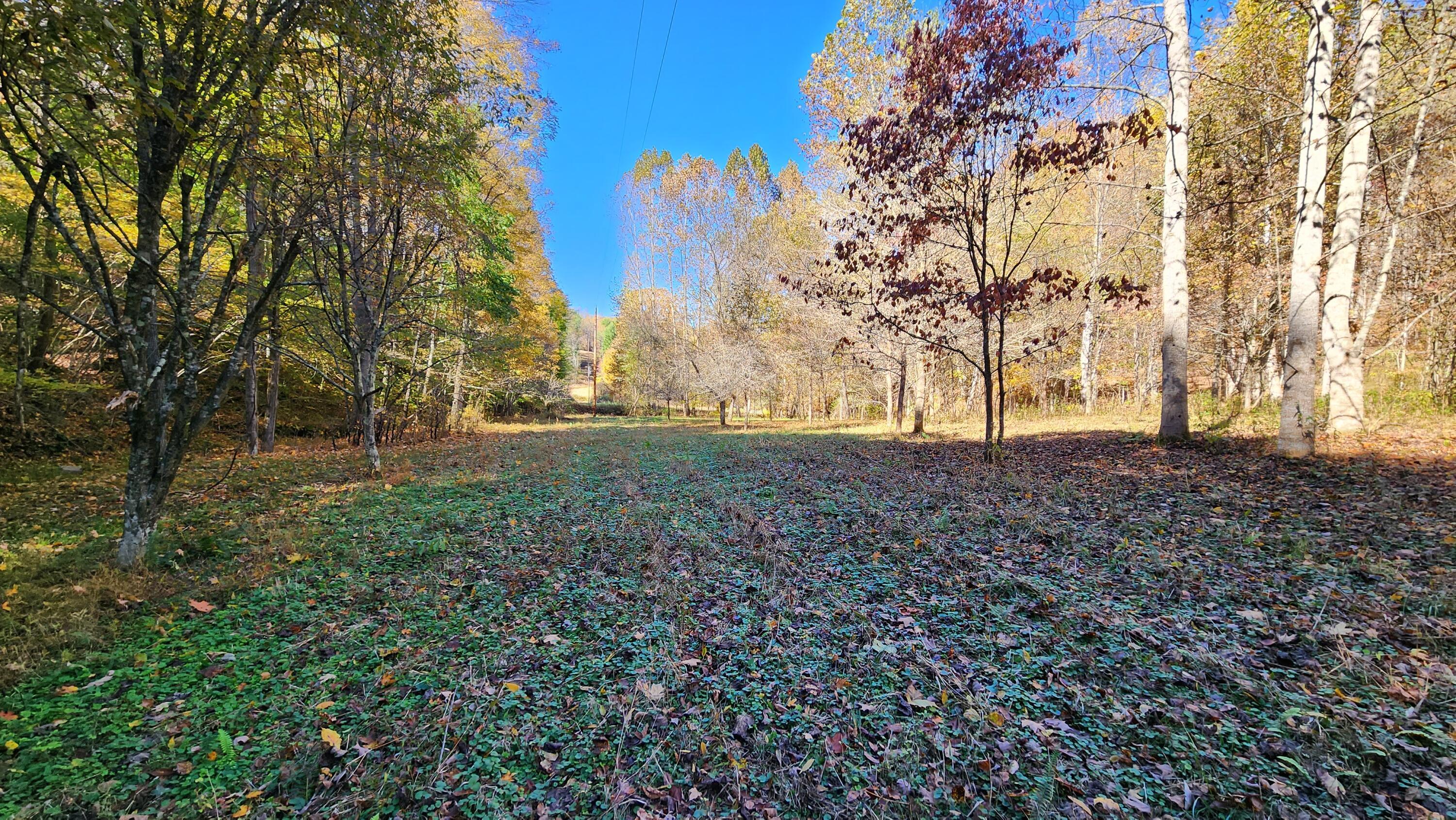 0 Vandergriff Road, Unit TRACT 6) South Bloomingville, OH 43152 - Photo 51 of 59 20231023_141836