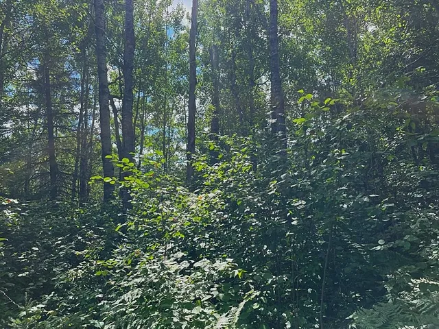 $269,900 | 3215 County Road 904, Babbitt, MN 55706