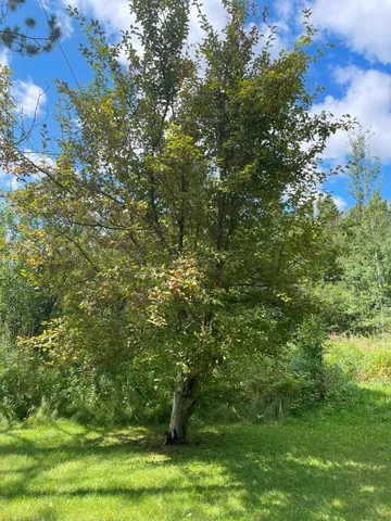 $269,900 | 3215 County Road 904, Babbitt, MN 55706