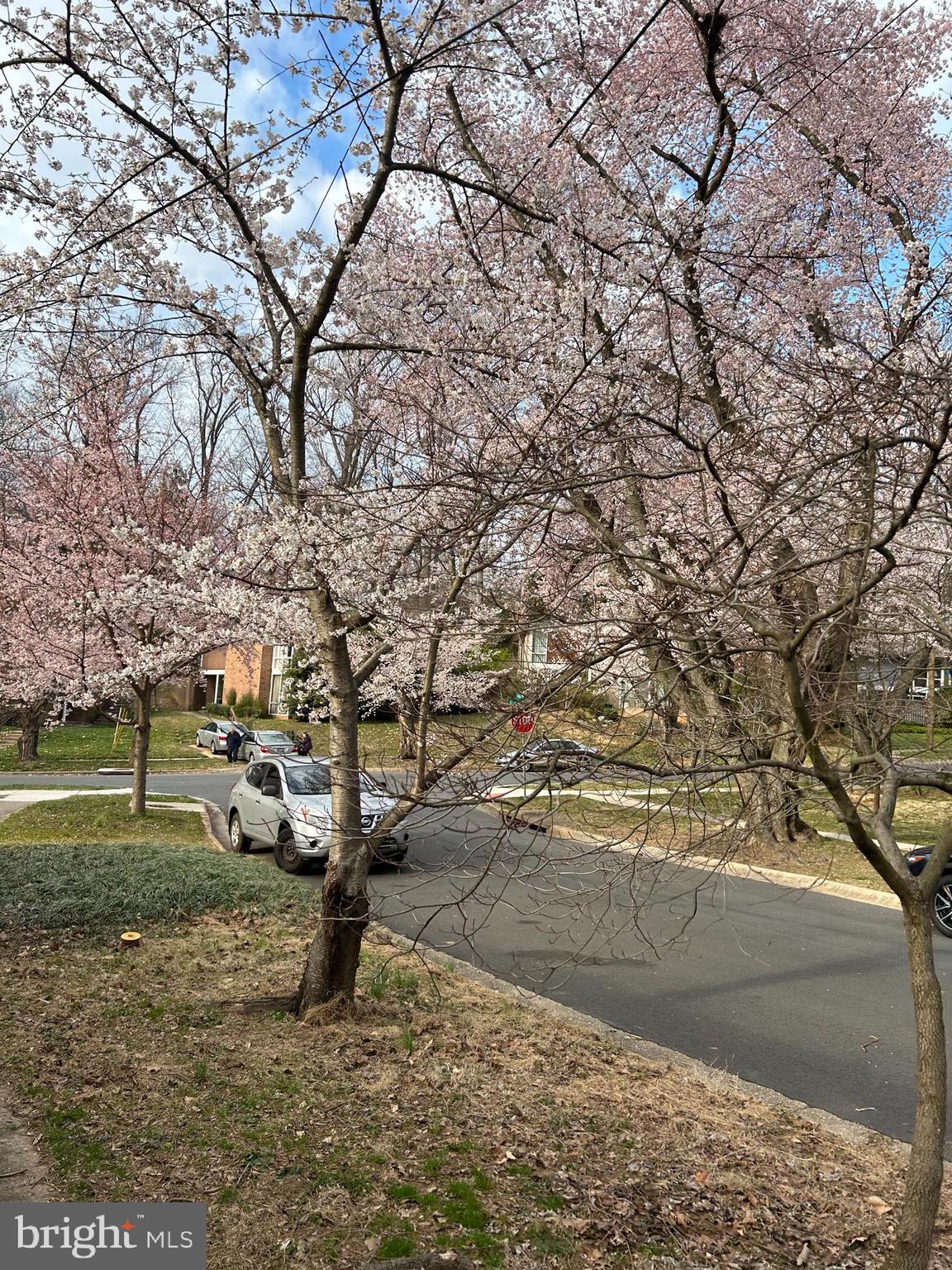 3945 Rickover Road Silver Spring, MD 20902 - Photo 40 of 43