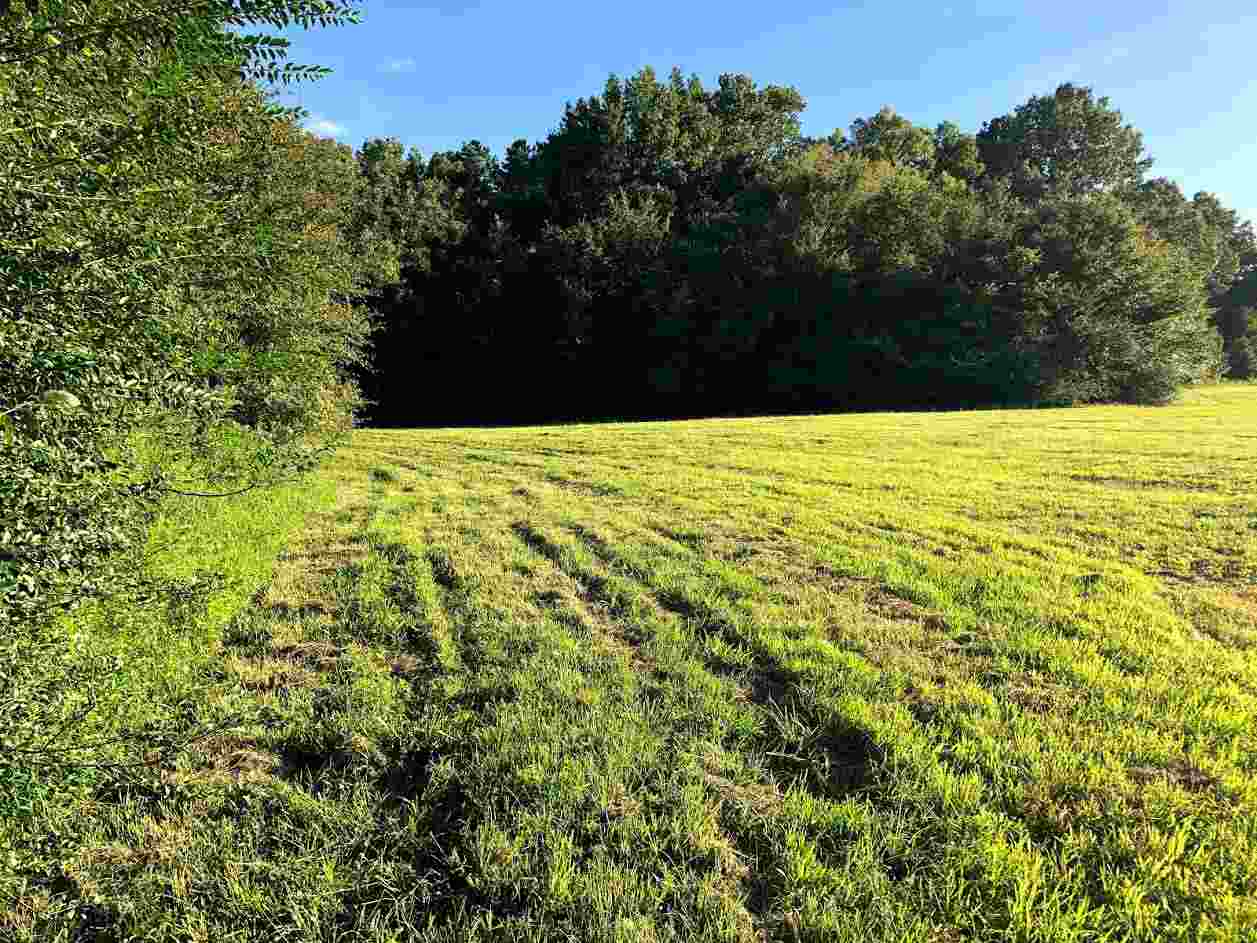20 Windbrook Cove Piperton, TN 38017 - Photo 10 of 12 Gallery Image 10