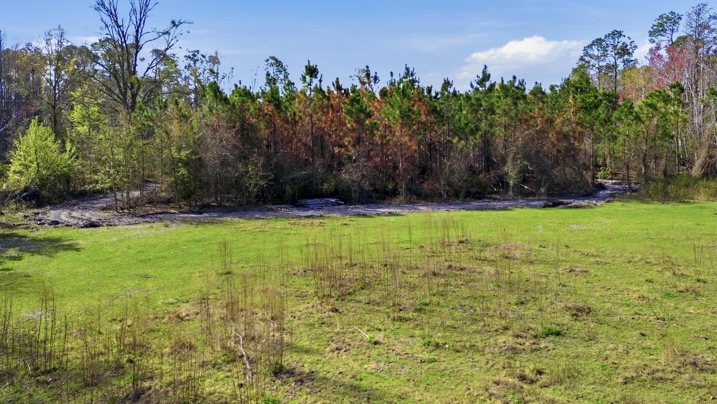 0 South Old Dixie Highway Perry, FL 32347 - Photo 11 of 28