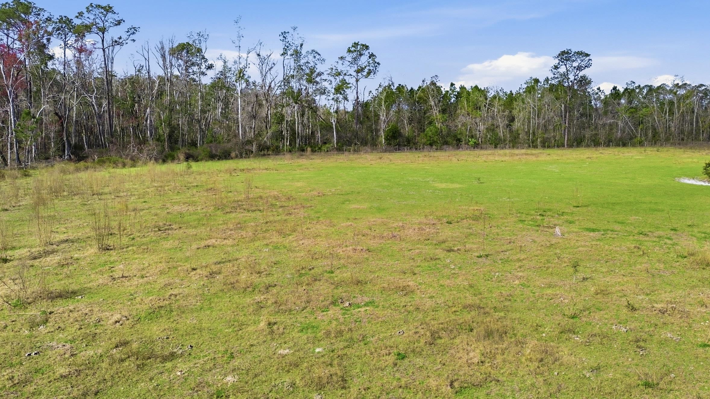 0 South Old Dixie Highway Perry, FL 32347 - Photo 12 of 28