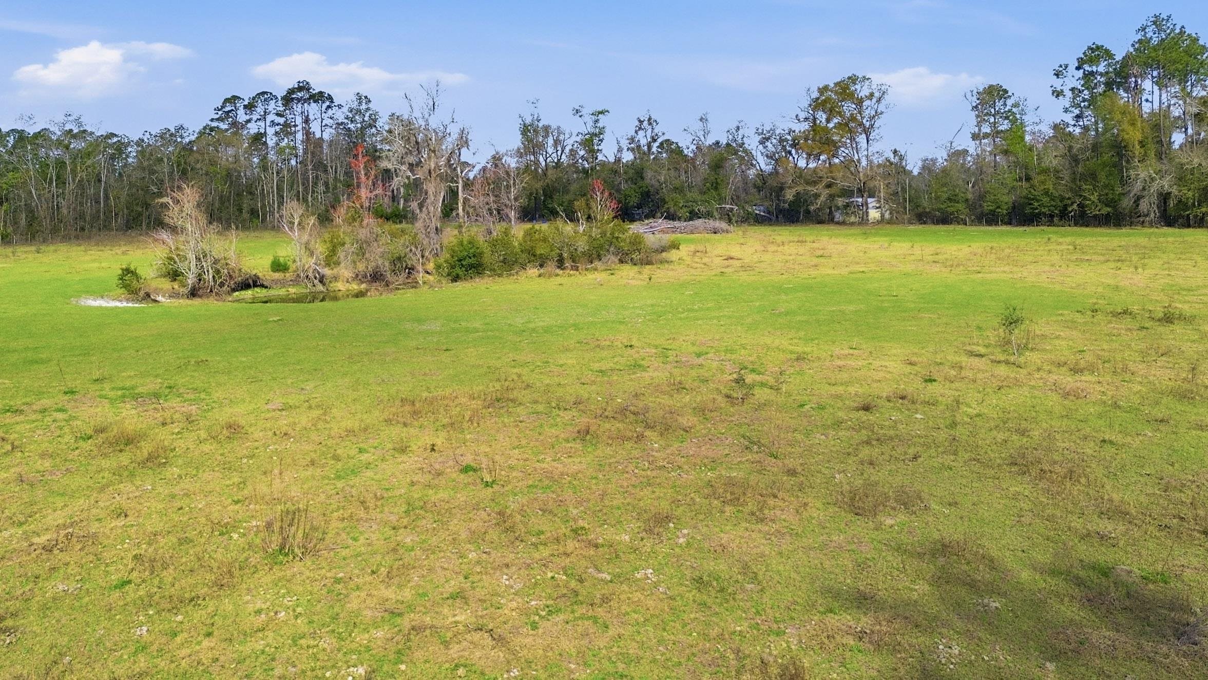 0 South Old Dixie Highway Perry, FL 32347 - Photo 13 of 28