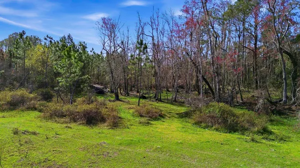 $100,000 | 0 South Old Dixie Highway, Perry, FL 32347