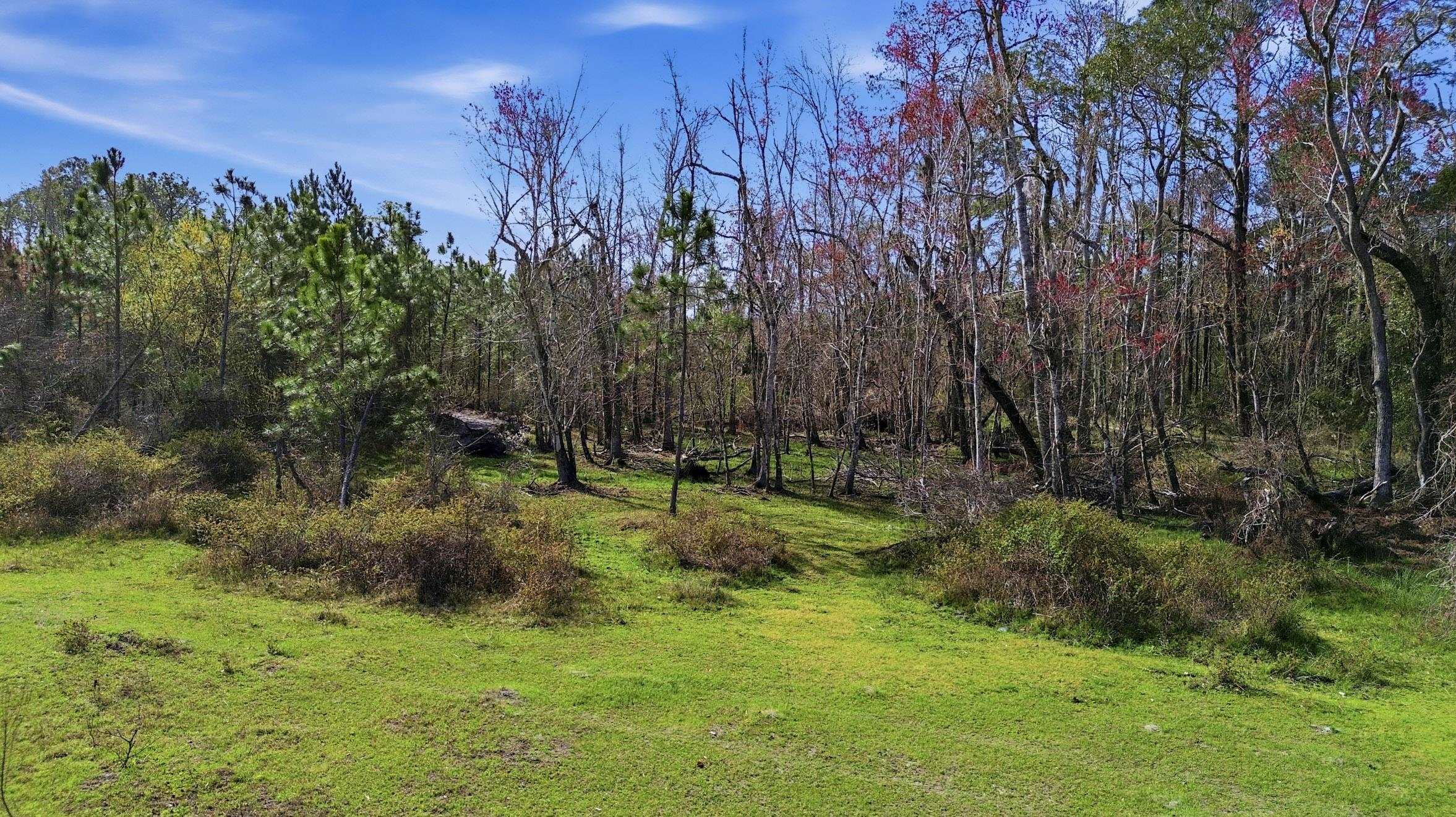 0 South Old Dixie Highway Perry, FL 32347 - Photo 14 of 28